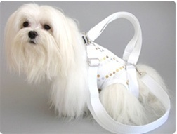 Luxury Dog Carriers- Doggie Couture Shop